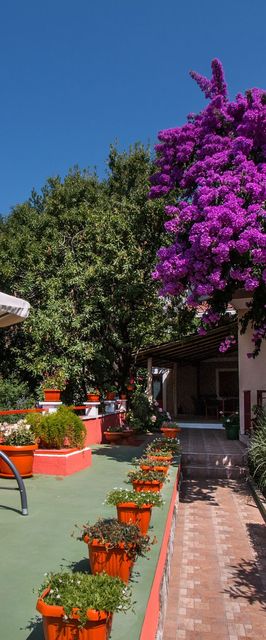 Apartmanok Parkolóhellyel Orebic, Peljesac - 4579 Orebić