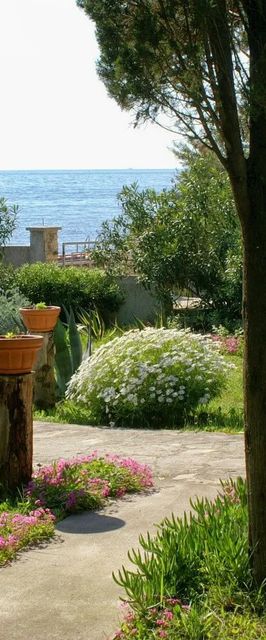 Apartmanok A Tenger Mellett Novalja, Pag - 4052 Novalja