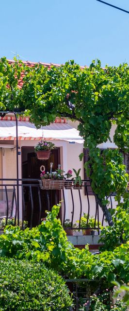 Apartmanok A Tenger Mellett Barbat, Rab - 4977 Barbat