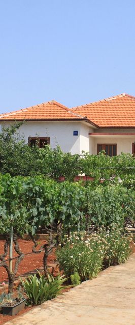 Apartmanok A Tenger Mellett Ugljan - 8257