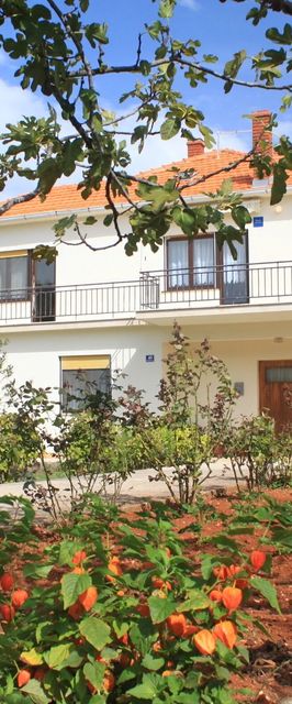 Apartmanok Parkolóhellyel Ugljan - 8493