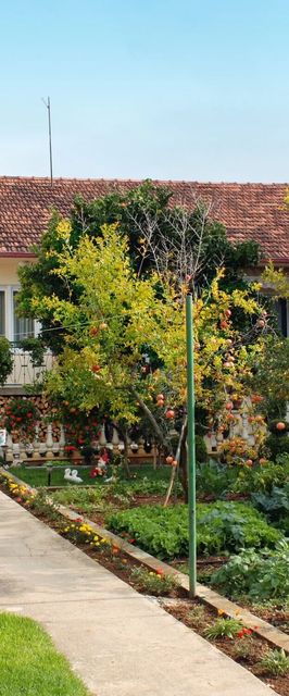 Apartmanok A Tenger Mellett Bibinje Zadar - 5866