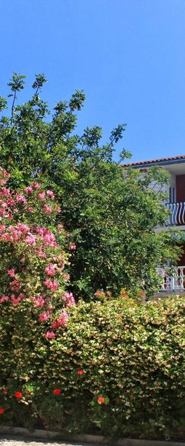 Apartmanok A Tenger Mellett Loviste Peljesac - 10182 Lovište