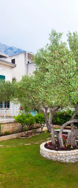 Apartmanok A Tenger Mellett Promajna, Makarska - 2588 Promajna