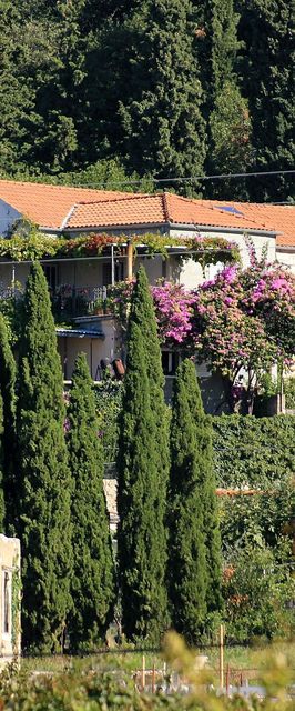 Apartmanok Parkolóhellyel Slano Dubrovnik - 8540