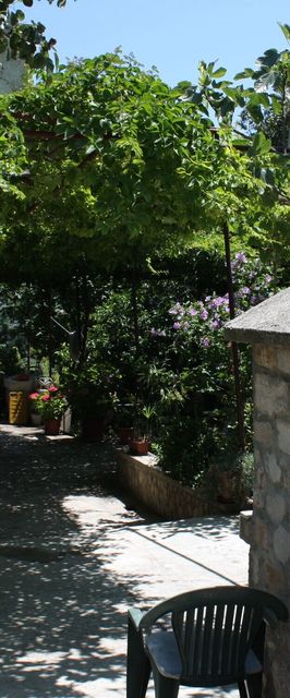 Apartmanok Parkolóhellyel Murter - 5098