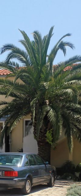 Apartmanok Parkolóhellyel Orebic, Peljesac - 10075 Orebić