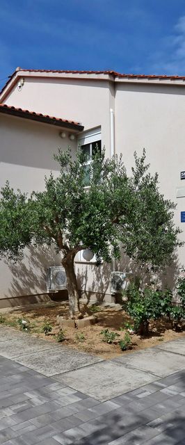 Apartmanok A Tenger Mellett Banjol, Rab - 12838 Banjol