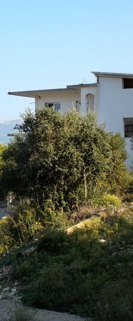 Apartmanok Parkolóhellyel Arbanija, Ciovo - 5228 Arbanija