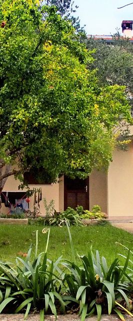 Apartmanok Parkolóhellyel Kozino, Zadar - 678 Kožino