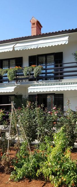 Apartmanok Gyermekes Családok Részére Valbandon, Fazana - 7239 Valbandon