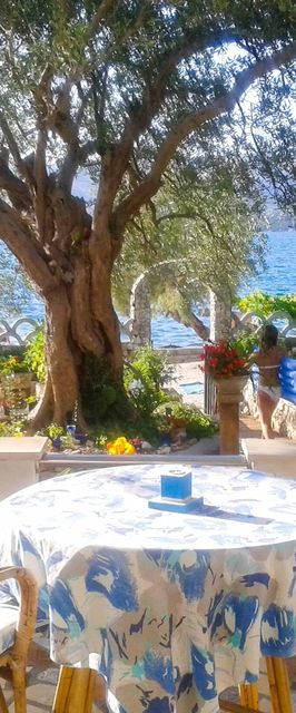 Apartmanok A Tenger Mellett Okrug Gornji, Ciovo - 459 Okrug Gornji