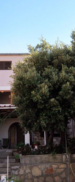 Apartmanok A Tenger Mellett Brna, Korcula - 560 Brna