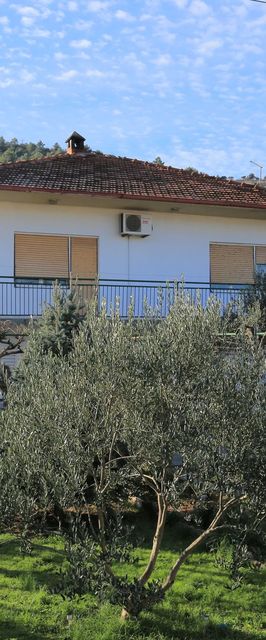 Apartmanok Parkolóhellyel Marina, Trogir - 1093 Marina