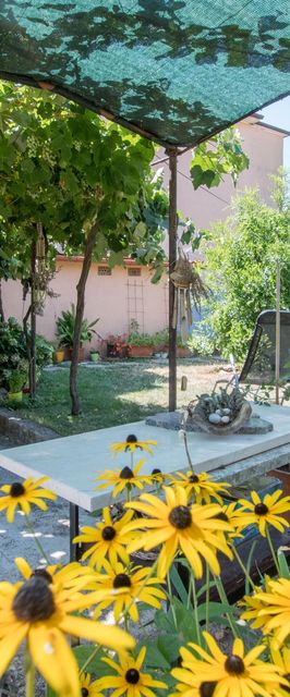 Apartmanok Parkolóhellyel Umag - 2529