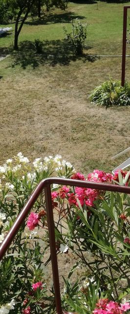 Gyöngyi Apartman Keszthely