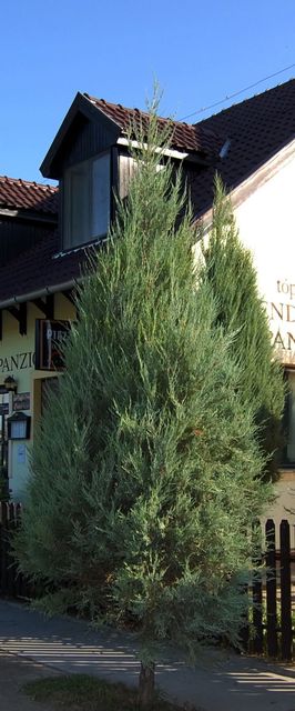 Tópart Vendéglő és Panzió Mezőberény