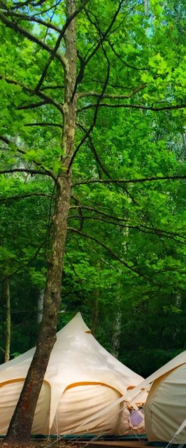 Szeri Kemping Faház Ópusztaszer