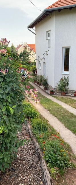 Eszter Apartman Paloznak