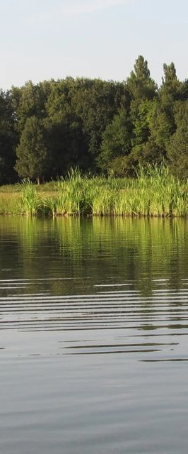 Hosszú-tó Vendégház Drávacsepely
