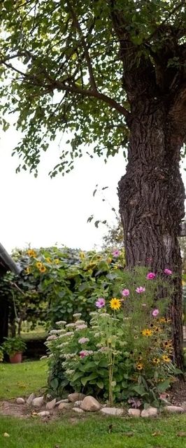 Szarvasszálló Vendégház Magyarszombatfa