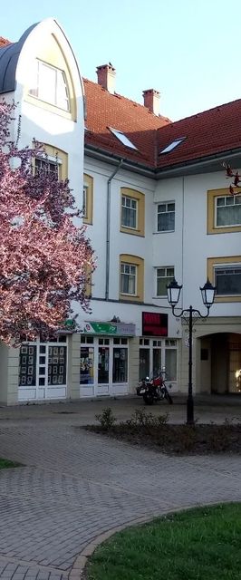 Rákóczi Apartman Sárospatak