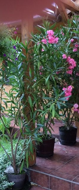 Békaváros Apartman Bakonybél