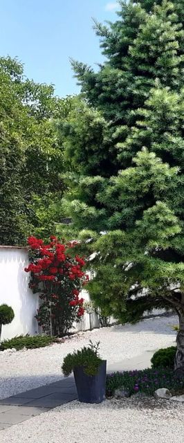 Art Galéria Apartman Gyenesdiás