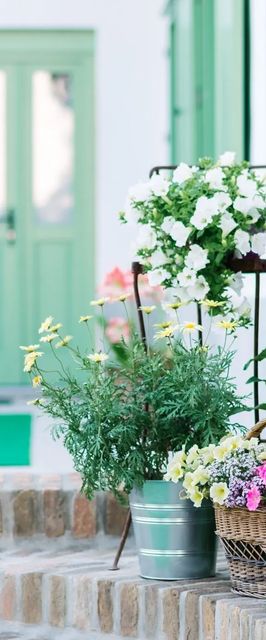 Maison BOGArT Vendégház Alsóbogát