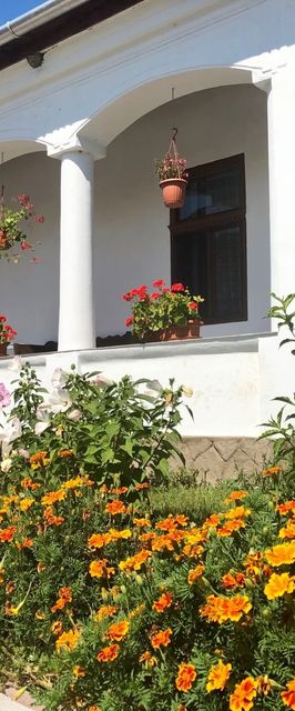 Heni Vendégháza Vadna