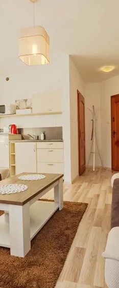 Apartament EverySky Wilcza 3a/11