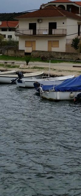 Apartment Orlić Vinisce