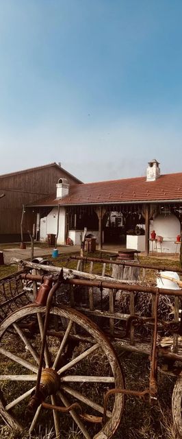 Farkasdomb Tájház és Turisztikai Központ Tiszapüspöki