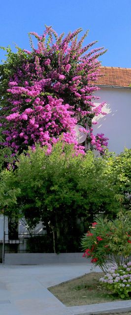 Apartmanok A Tenger Mellett Okrug Gornji, Ciovo - 1069 Okrug Gornji