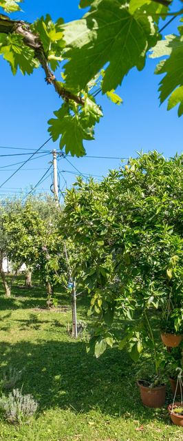 Apartmanok Parkolóhellyel Trogir - 9209