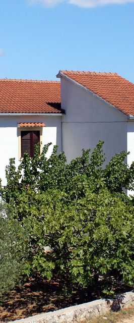 Apartmanok A Tenger Mellett Tkon, Pasman - 698 Tkon