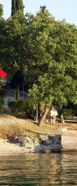 Apartmanok Parkolóhellyel Njivice, Krk - 5325 Njivice