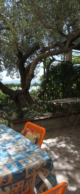 Apartmanok Parkolóhellyel Makarska - 6792