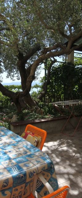 Apartmanok Parkolóhellyel Makarska - 6792