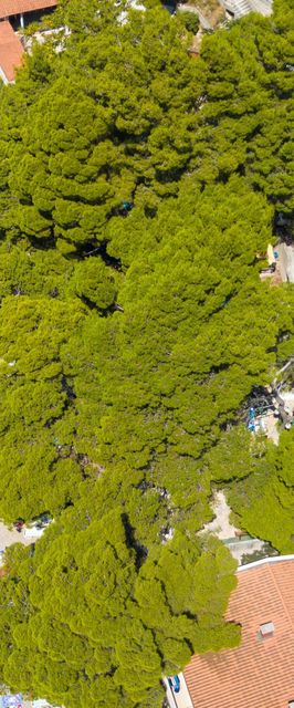 Családi Apartmanok A Tenger Mellett Brela Makarska - 6007