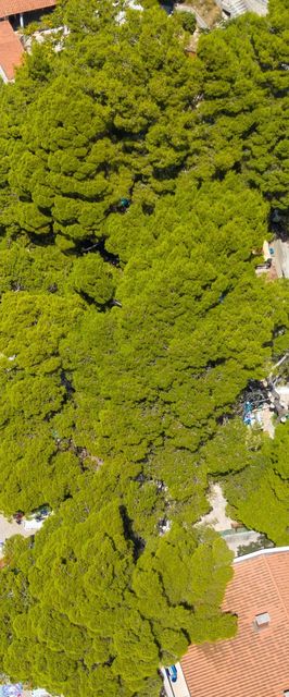 Családi Apartmanok A Tenger Mellett Brela, Makarska - 6007 Brela