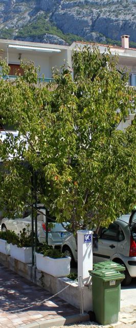 Apartmanok Parkolóhellyel Makarska - 9129