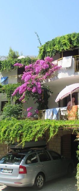 Apartmanok A Tenger Mellett Ivan Dolac, Hvar - 4584 Ivan Dolac