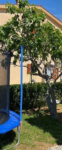 Apartmanok Parkolóhellyel Privlaka, Zadar - 5746 Privlaka