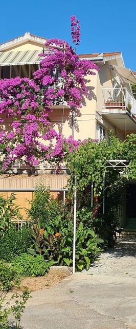 Apartmanok Parkolóhellyel Trpanj, Peljesac - 257 Trpanj