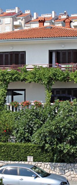 Apartmanok Parkolóhellyel Novi Vinodolski - 2421