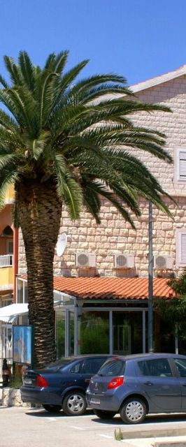 Apartments By The Sea Trpanj, Pelješac - 3162 Trpanj