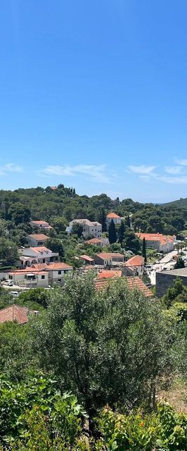 Apartmanok Parkolóhellyel Maslinica, Solta - 5176 Maslinica