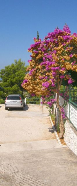 Apartments Dijo Primosten