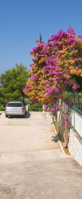 Apartments Dijo Primosten